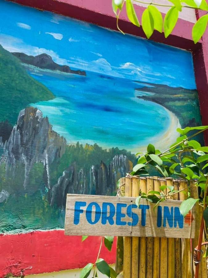 Forest Inn El Nido Kültér fotó
